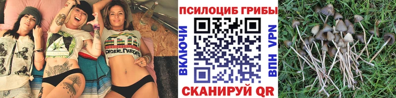 Псилоцибиновые грибы мухоморы  Стародуб 